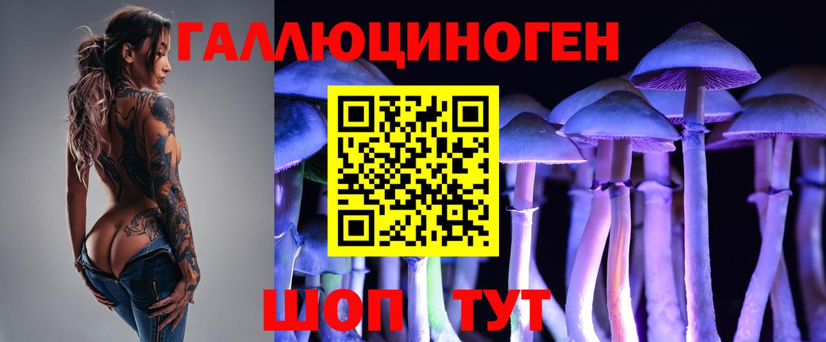 Кропоткин  Псилоцибиновые грибы GOLDEN TEACHER  Вход с VPN 
